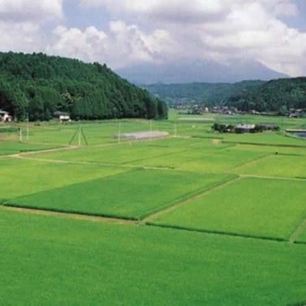 Imported Agricultural Properties
