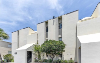 3 BHK Apartment For Rent