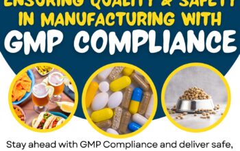 GMP Certification in Charlotte